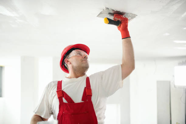 Best Commercial Mold Inspection  in East Canton, OH