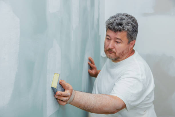 Best Post-Construction Mold Inspection  in East Canton, OH