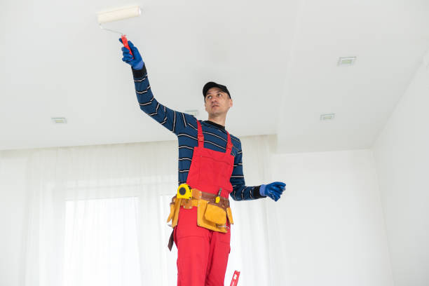 Best Environmental Consulting for Mold Prevention  in East Canton, OH