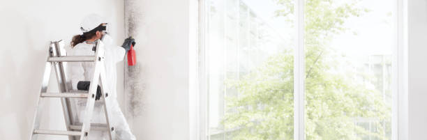 Best Real Estate Mold Inspection  in East Canton, OH