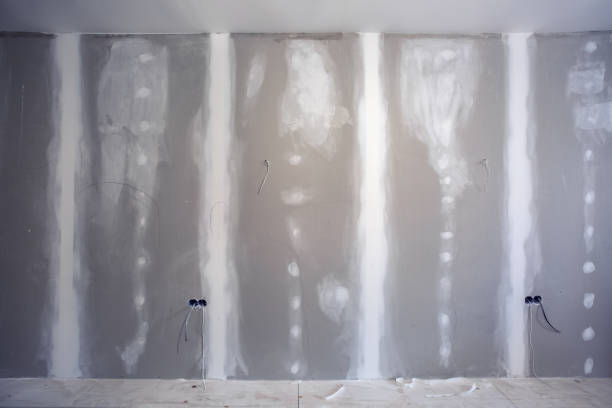 Best Airborne Mold Testing  in East Canton, OH